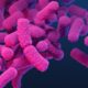Science quiz: Fighting back against diseases