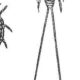 Science quiz: Tools of writing