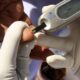 Study finds normalising blood glucose with lifestyle could halve heart disease risk in prediabetics