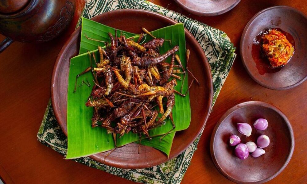 Try edible insects and fermented raw foods at this food festival at the Science Gallery Bengaluru
