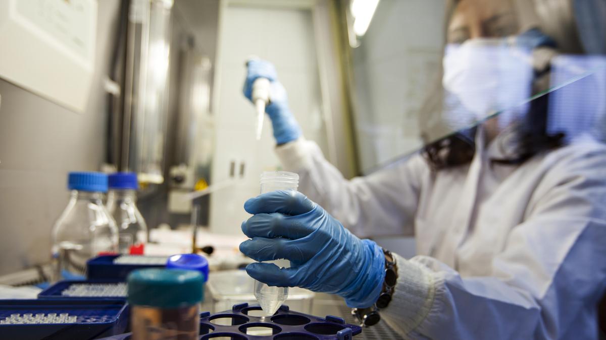 What hinders Indian pharma companies from making drugs for rare diseases