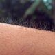 Why do we get goosebumps?