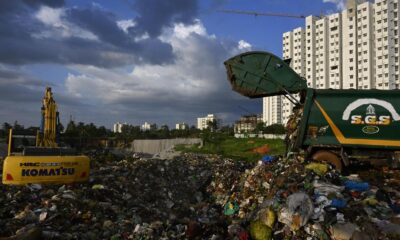 Why does India need bioremediation? | Explained