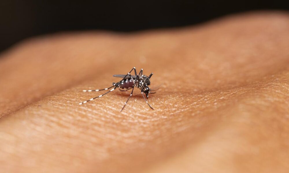 Can India eliminate malaria by 2030? | Explained