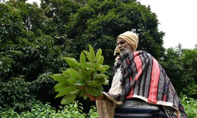 Conservation in the Global South erases human rights, researchers say