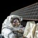 Scientists find spaceflight affects immune genes, deforms the brain