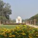 What Delhi’s wilderness says about the city’s politics