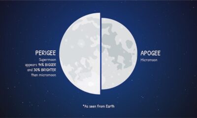 What is a wolf supermoon?