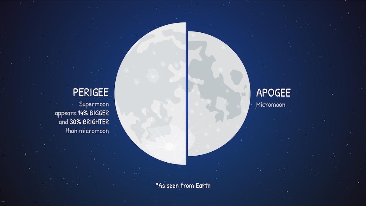 What is a wolf supermoon?
