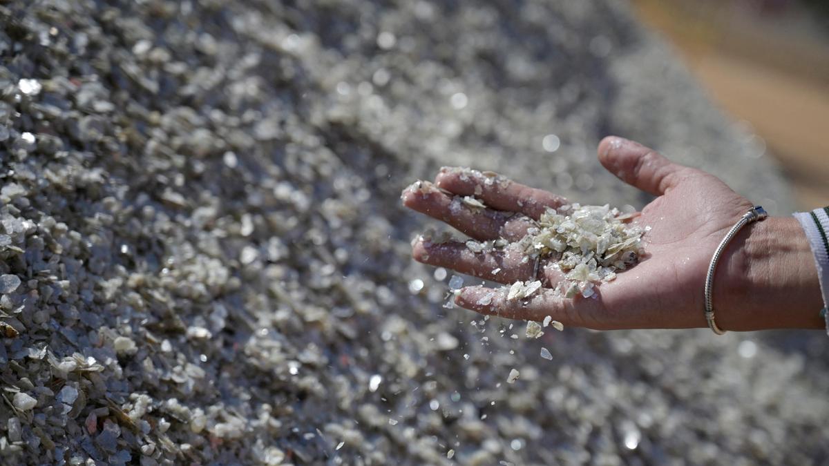 Budget 2026-27: CII backs Union Budget plan for dedicated rare earth corridors