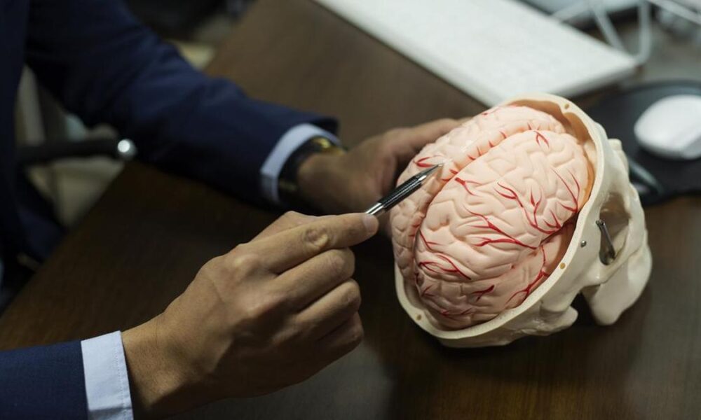 Can white matter changes in the brain determine our ageing trajectory?