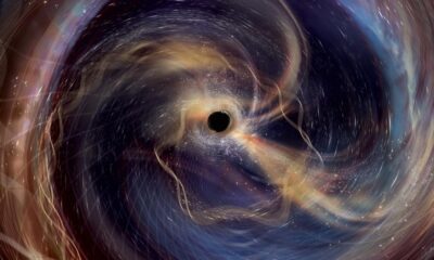 General relativity survives its most rigorous single-event test yet