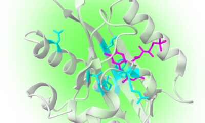 How proteins are being tweaked to be quantum sensors inside the body