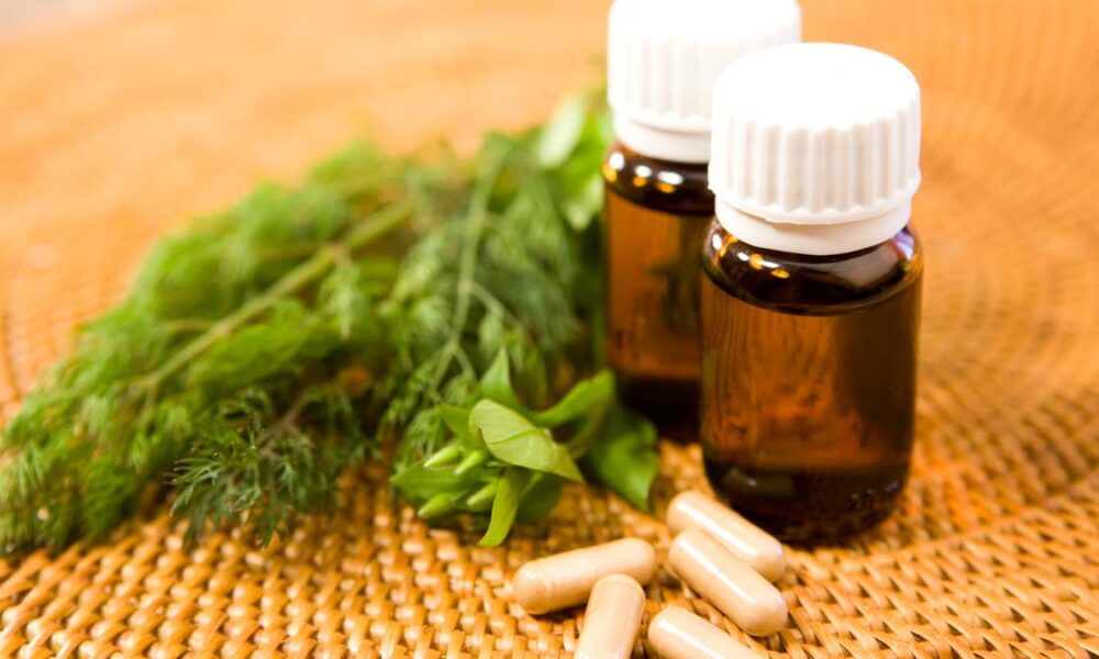 How will budget boosts, EU access remake AYUSH beyond India? | Explained