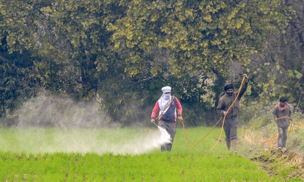 India among four nations driving most global pesticide toxicity: study