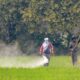 India among four nations driving most global pesticide toxicity: study