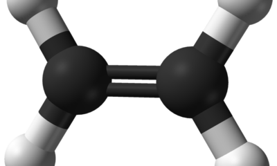 The Science Quiz: The science hidden in proverbs and idioms