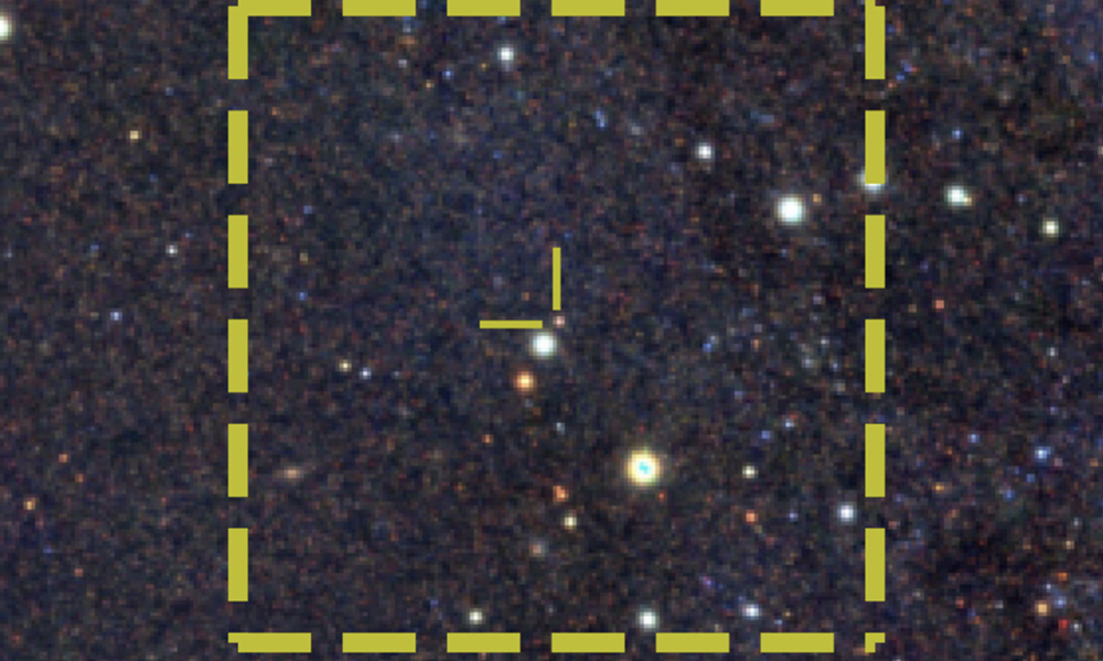 The curious case of the star that may have swallowed itself