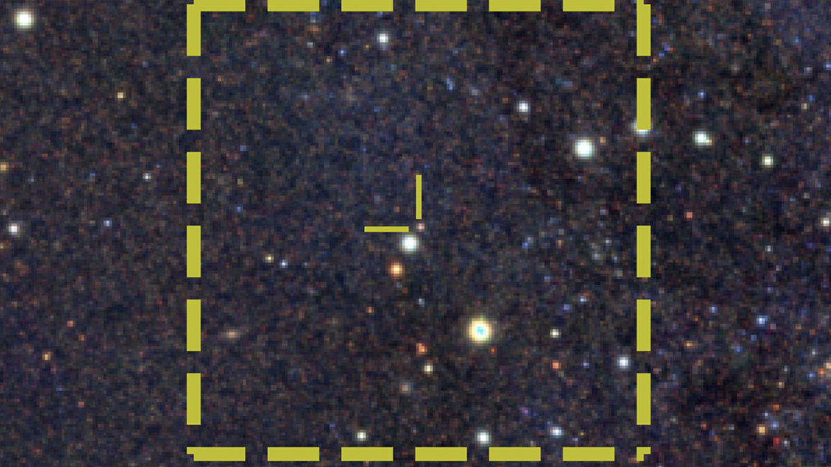 The curious case of the star that may have swallowed itself