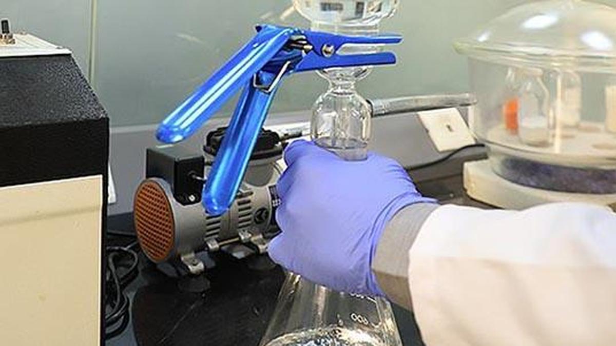 What are bio-based chemicals and enzymes? | Explained