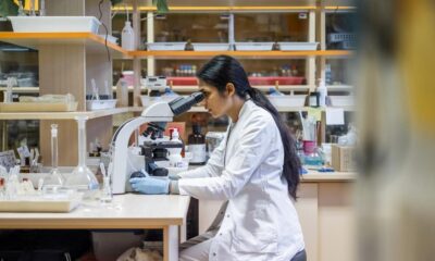 Why India needs political change to retain women in STEM