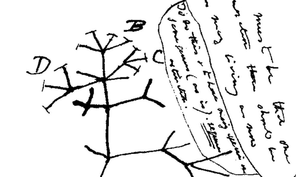 Daily Quiz | On Theory of Evolution