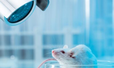 How BioPharma SHAKTI can transform biologics with non-animal models
