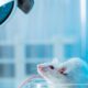 How BioPharma SHAKTI can transform biologics with non-animal models