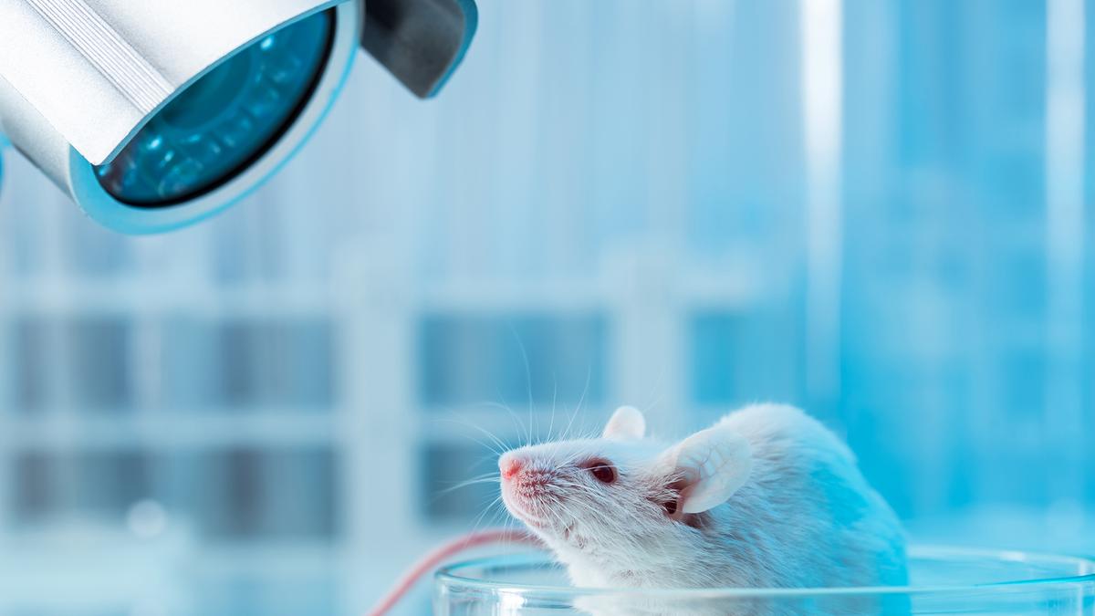 How BioPharma SHAKTI can transform biologics with non-animal models