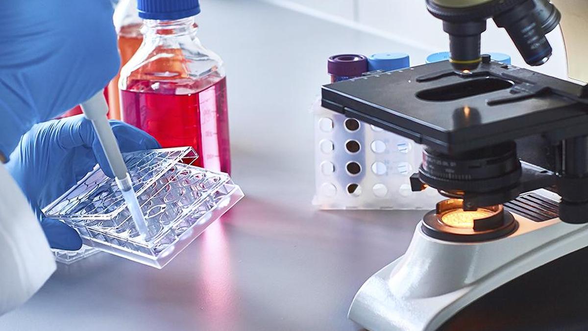 How the next major breakthrough in cancer could come from India