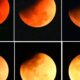 In pictures: Lunar eclipse enthrals skywatchers across India and the globe
