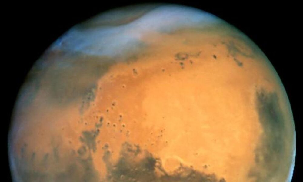 Science Snapshots: March 1, 2026