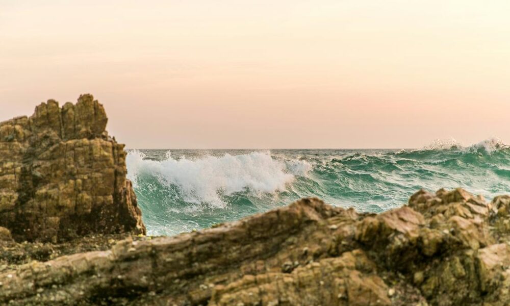 Science Snapshots: March 22, 2026