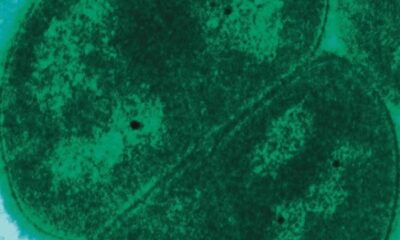 Science Snapshots: March 8, 2026