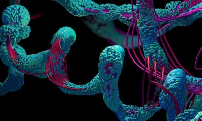 Scientists rewire bacteria to build ‘designer’ proteins on demand