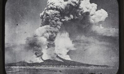 The natural universe remains captivating when it skips the people