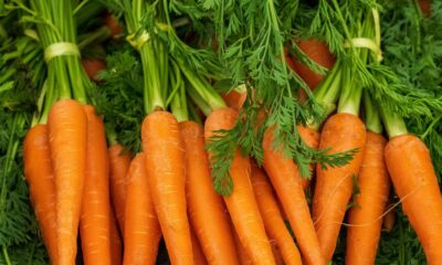 Turning carrot waste into edible material again