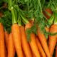 Turning carrot waste into edible material again