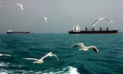 West Asia war: how finding oil changed the Persian Gulf’s ecology