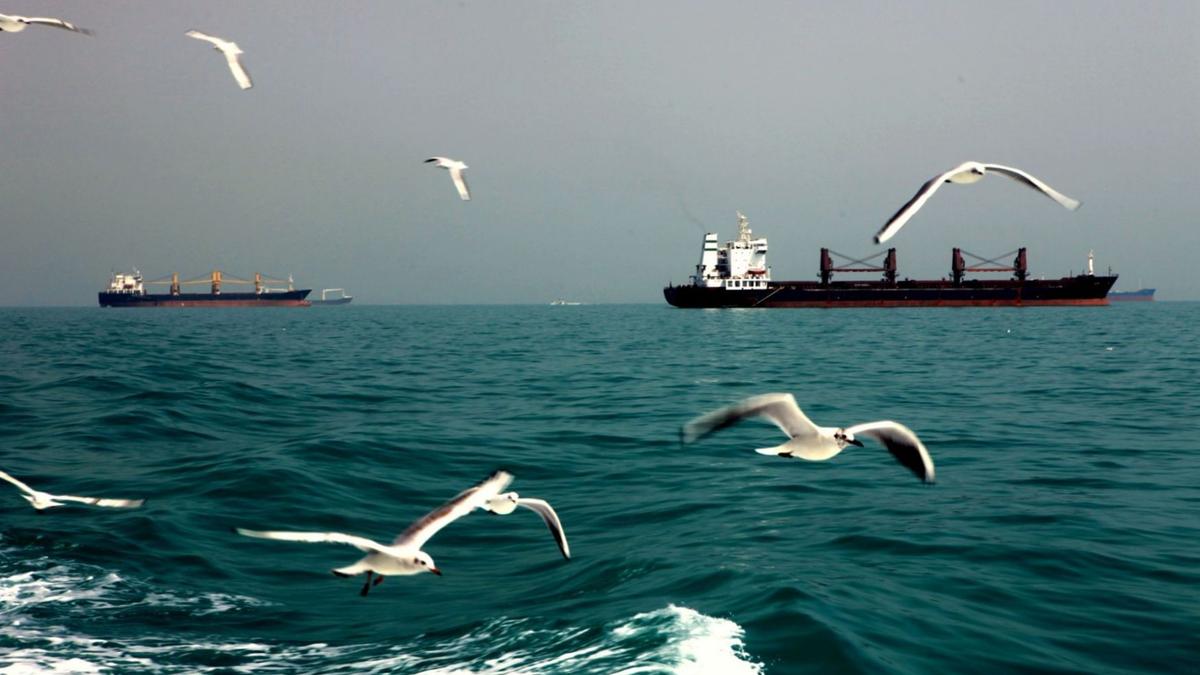 West Asia war: how finding oil changed the Persian Gulf’s ecology
