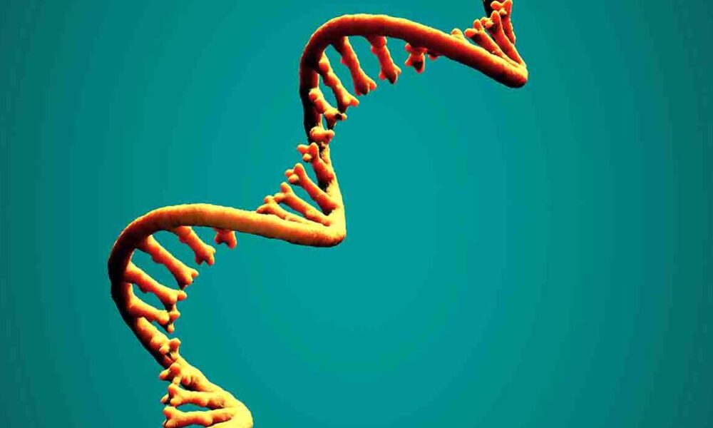 What is extracellular RNA?