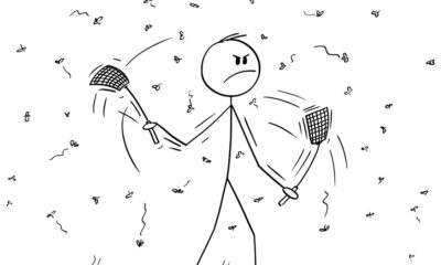 Why do mosquitoes love some people more than others?