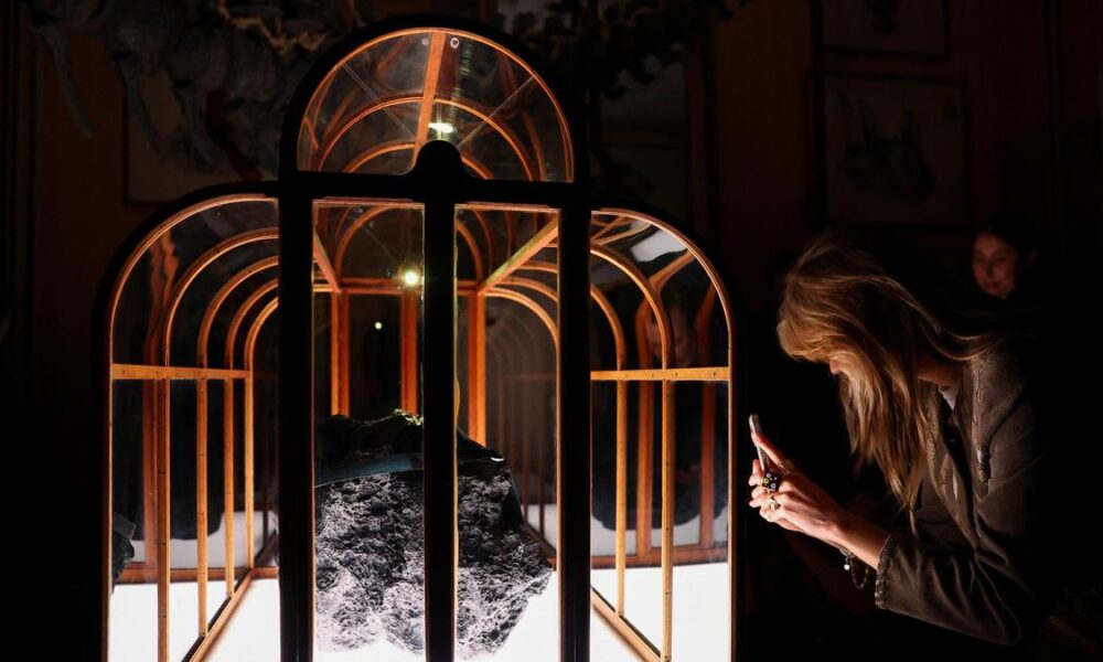 Dinosaur collagen used to create one-of-a-kind handbag