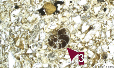 Dwarka Basin: an ancient haven