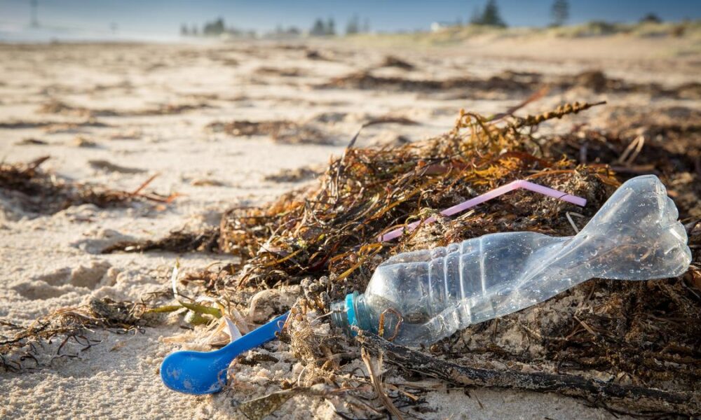 Earth Day 2026: India’s plastic crisis and blame game