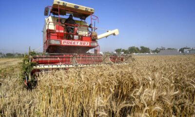 Extreme heat threatens global food systems, UN agencies warn