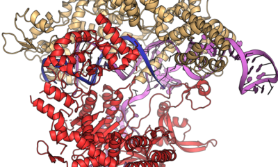 Gene drives and malaria: how altered mosquitoes could reshape disease control