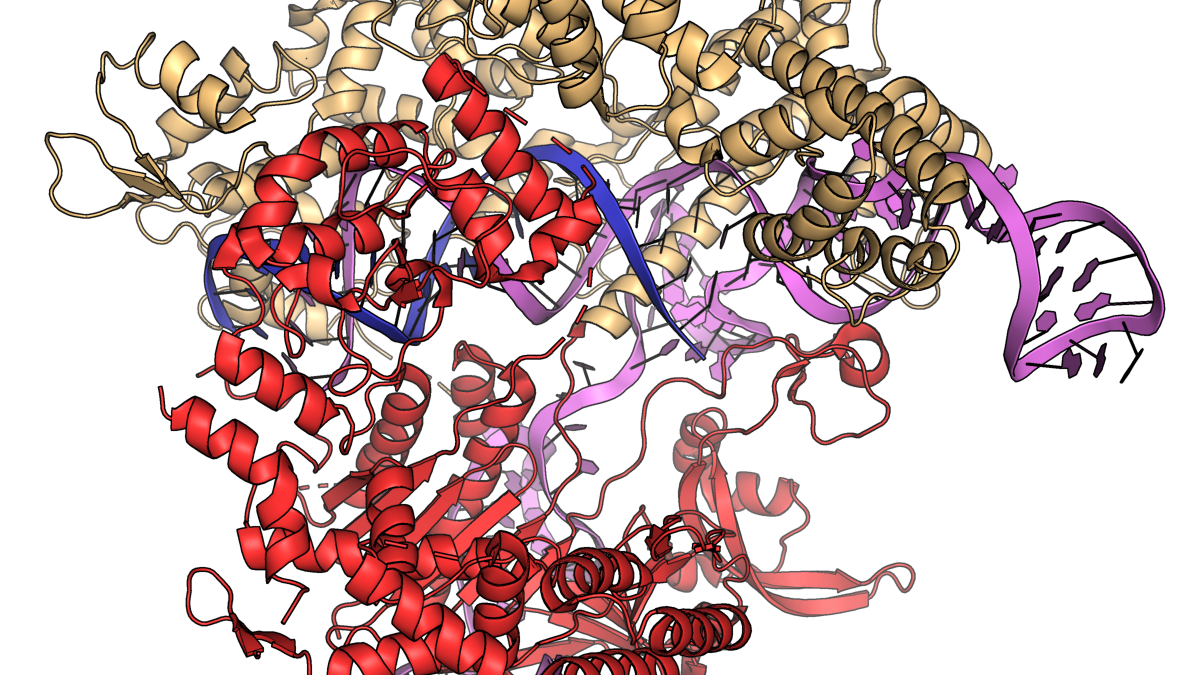 Gene drives and malaria: how altered mosquitoes could reshape disease control