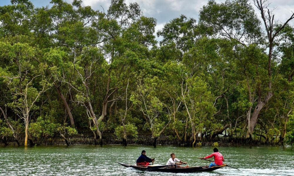 Is BSF’s idea to have reptiles in the water along Bangladesh border sound?