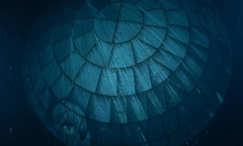 NASA's Artemis II moonship returns home to its launch site after historic voyage